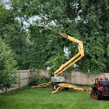 Best Arborist Consultation Services  in Bensenvle, IL