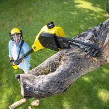 Best Tree Disease Treatment  in Bensenvle, IL